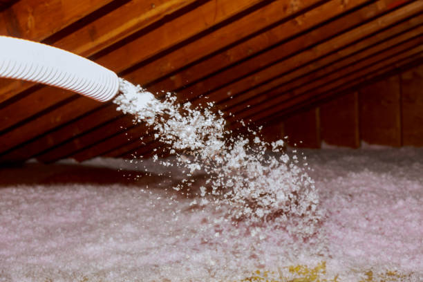 Best Geographic-Specific Insulation Services in Sabetha, KS