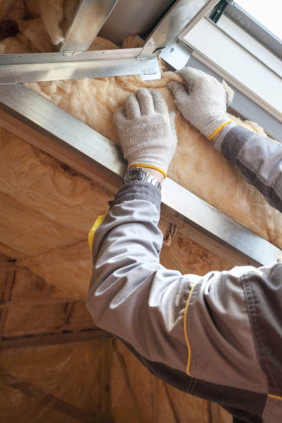 Best Geographic-Specific Insulation Services in Sabetha, KS