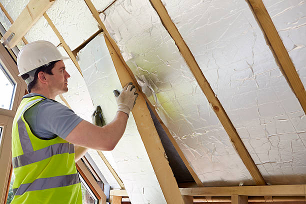 Best Insulation Maintenance and Repair in Sabetha, KS